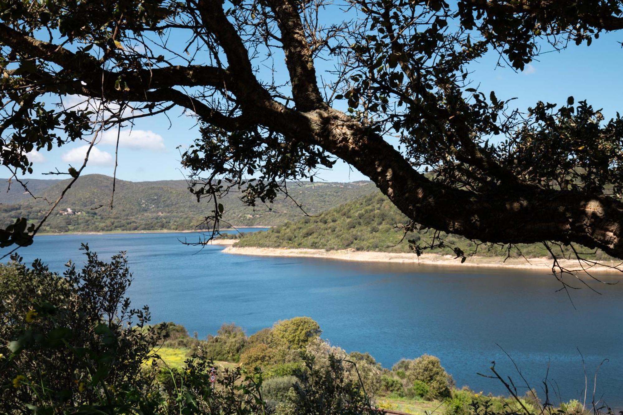 Zaira Home Free Wi-Fi 5 Minuti Dal Lago Liscia Sant'Antonio di Gallura Exterior photo